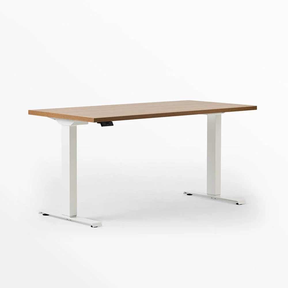 Office Desks, Conference Tables & Training Tables